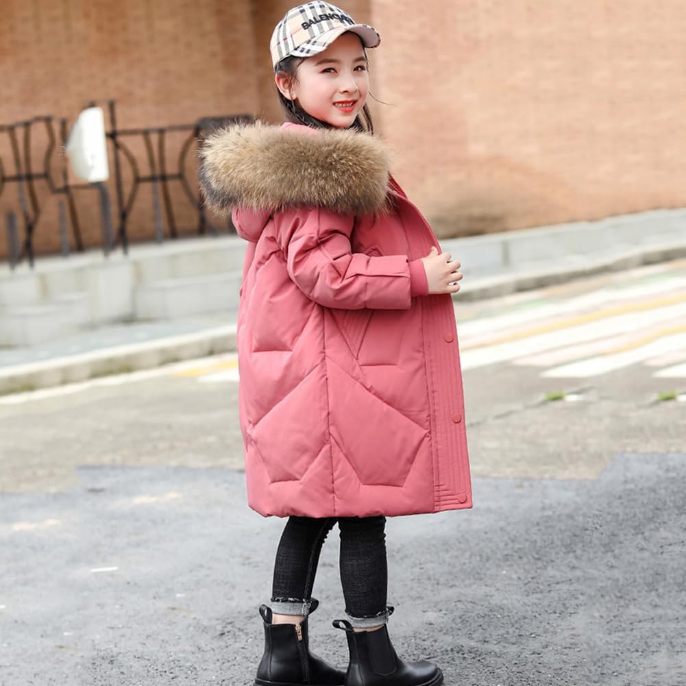 PINK HOUSE ハニーレモンテディ ジャケット PINK HOUSE（ピンクハウス